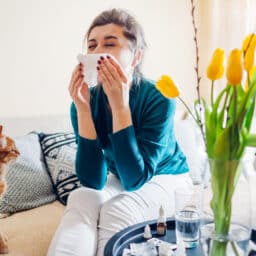 Spring allergy. Woman sneezing because of tulips flowers surrounded with pills and nasal drops sitting on sofa with cat at home. Seasonal allergy. Coronavirus isolation
