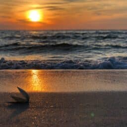 Beach at sunset